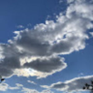 Meet your Posher, Roy